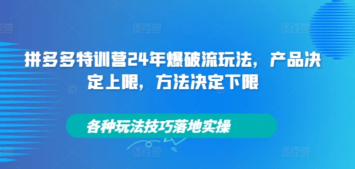 拼多多特训营24年爆破流玩法，产品决定上限，方法决定下限，各种玩法技巧落地实操-云网创