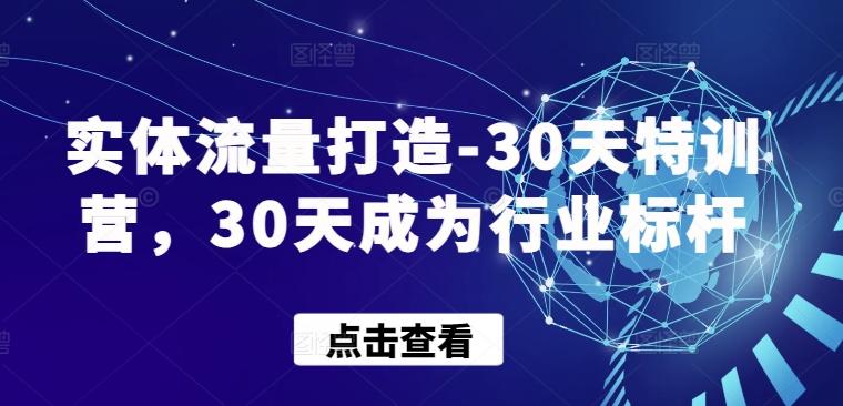 实体流量打造-30天特训营,30天成为行业标杆-云网创