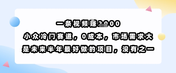 一条视频挣1k，小众冷门赛道，0成本，市场需求大，是未来半年最好做的项目，没有之一-云网创