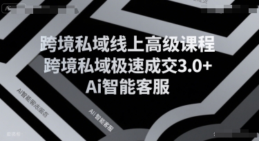 跨境私域线上高级课程，跨境私域极速成交3.0+Ai智能客服-云网创