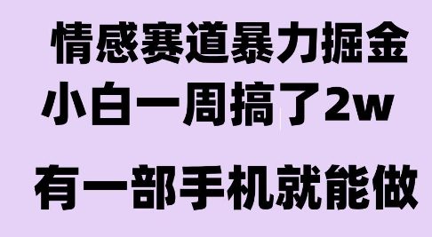 情感暴力掘金项目，新人操作一周挣了2W，长期稳定小白可做【揭秘】-云网创