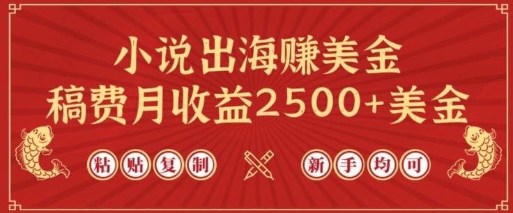 小说出海赚美金，稿费月收益2500+美金，仅需chatgpt粘贴复制，新手也能玩转【揭秘】-云网创