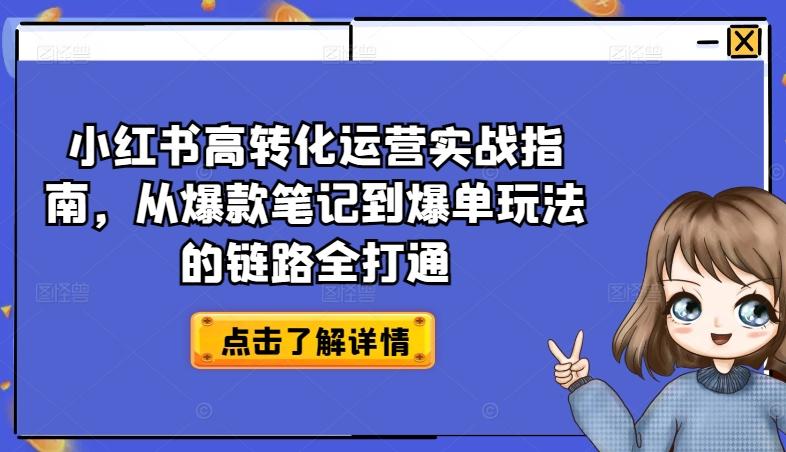 小红书高转化运营实战指南，从爆款笔记到爆单玩法的链路全打通-云网创