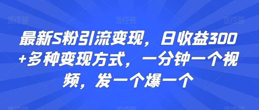 最新S粉引流变现，日收益300+多种变现方式，一分钟一个视频，发一个爆一个【揭秘】-云网创