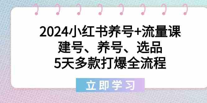 2024小红书养号+流量课：建号、养号、选品，5天多款打爆全流程-云网创