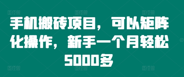 手机搬砖项目，可以矩阵化操作，新手一个月轻松5000多-云网创