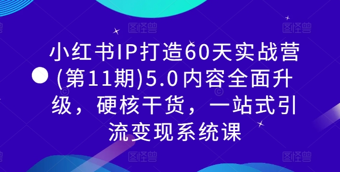 小红书IP打造60天实战营(第11期)5.0​内容全面升级，硬核干货，一站式引流变现系统课-云网创