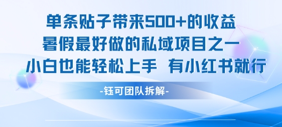 单条贴子带来5张的收益，暑假最好做的私域项目之一，小白也能轻松上手，有小红书就行-云网创