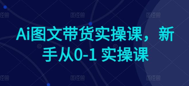Ai图文带货实操课，新手从0-1 实操课-云网创