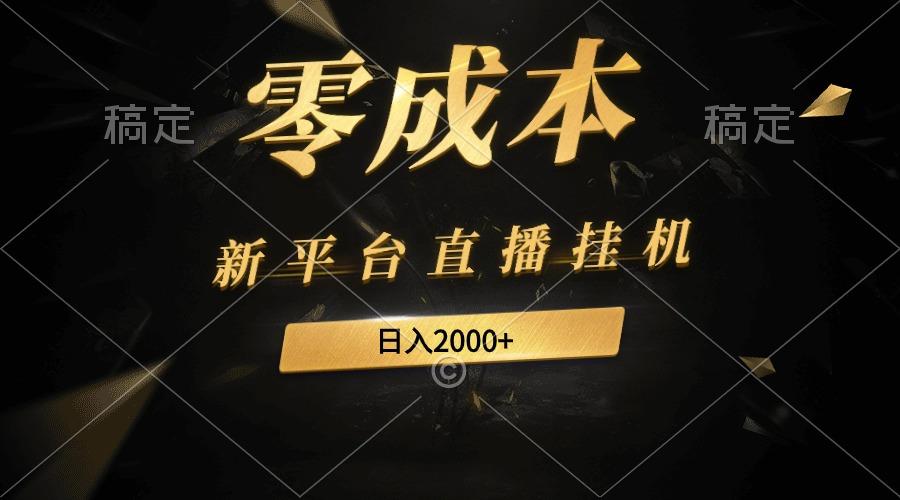 (9841期)新平台直播挂机最新玩法，0成本，不违规，日入2000+-云网创