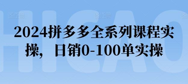 2024拼多多全系列课程实操，日销0-100单实操【必看】-云网创