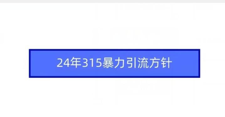 24年315暴力引流方针-云网创