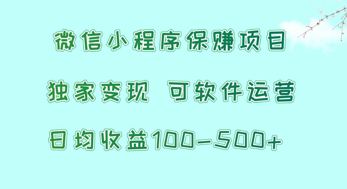 微信小程序保赚项目，日均收益100~500+，独家变现，可软件运营-云网创