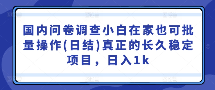 国内问卷调查小白在家也可批量操作(日结)真正的长久稳定项目，日入1k【揭秘】-云网创