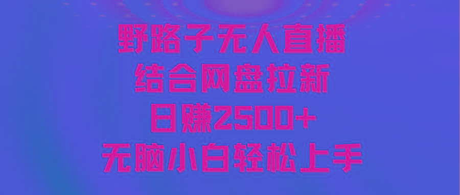 无人直播野路子结合网盘拉新，日赚2500+多平台变现，小白无脑轻松上手操作-云网创