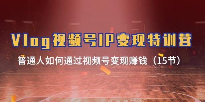 Vlog 视频号IP变现特训营，普通人如何通过视频号变现赚钱(15节-云网创