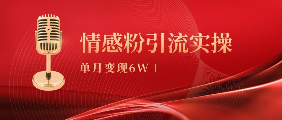 (9473期)单月变现6w+，情感粉引流变现实操课-云网创