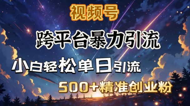 跨平台暴力引流,私域完美闭环,日引500+精准创业粉-云网创