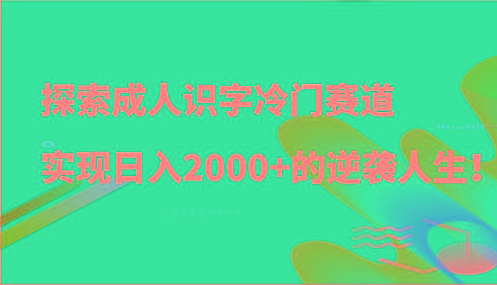 探索成人识字冷门赛道,实现日入2000+的逆袭人生!-云网创