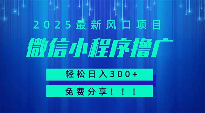 微信小程序撸广,最新风口项目,日入300+ 免费分享 可批量操作 小白可...-云网创