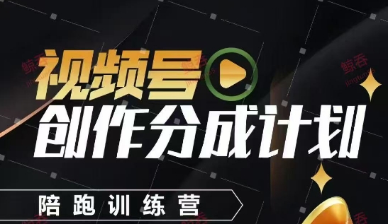 视频号创作分成计划陪跑训练营,手把手教会你如何制作视频,细水长流型项目-云网创