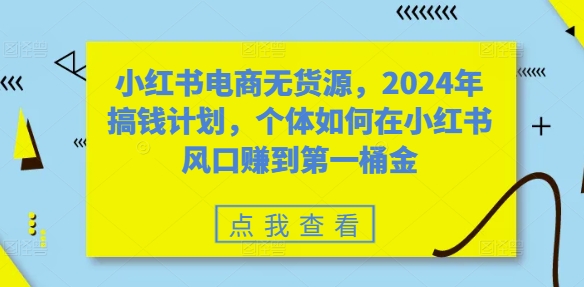 小红书电商无货源，2024年搞钱计划，个体如何在小红书风口赚到第一桶金-云网创