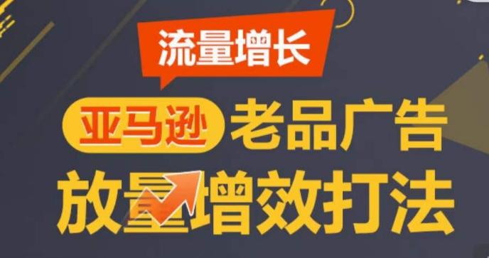 亚马逊流量增长-老品广告放量增效打法，循序渐进，打造更多TOP listing​-云网创