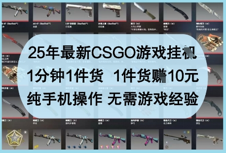 25年最新CSGO游戏挂G，1分钟1件货，1件货挣10元，纯手机操作，无需游戏经验【揭秘】-云网创