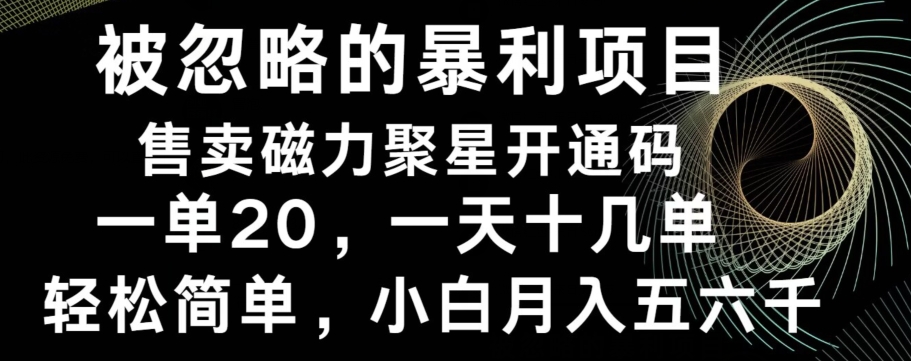 被忽略的暴利项目!售卖磁力聚星开通码,一单20,一天十几单,轻松月入五六千-云网创