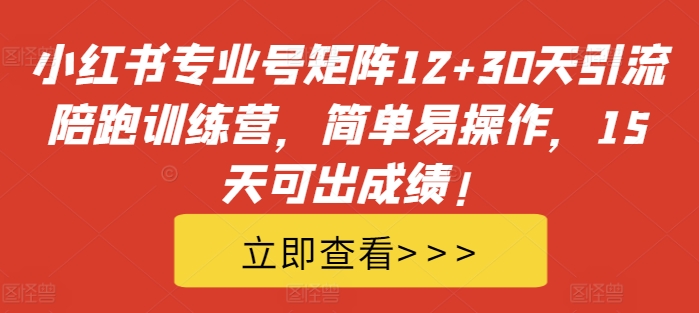 小红书专业号矩阵12+30天引流陪跑训练营，简单易操作，15天可出成绩!-云网创