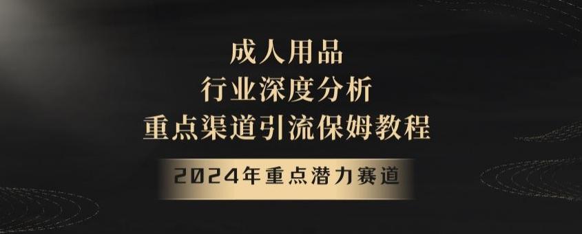 2024年重点潜力赛道，成人用品行业深度分析，重点渠道引流保姆教程【揭秘】-云网创