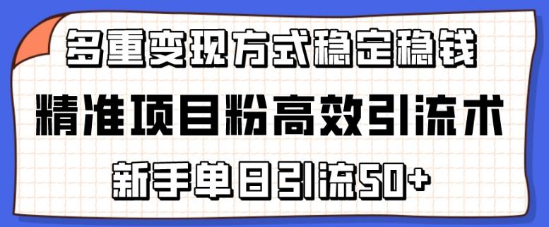 精准项目粉高效引流术，新手单日引流50+，多重变现方式稳定赚钱【揭秘】-云网创
