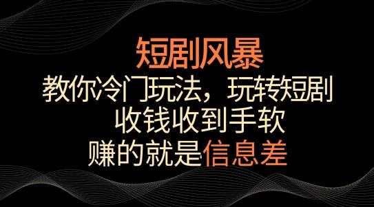 短剧风暴,教你冷门玩法,玩转短剧,收钱收到手软【揭秘】-云网创