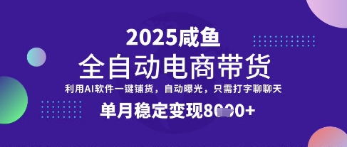 全网首发【闲鱼全自动电商带货】三年磨一剑，一朝露锋芒，单月稳定变现8k+【揭秘】-云网创