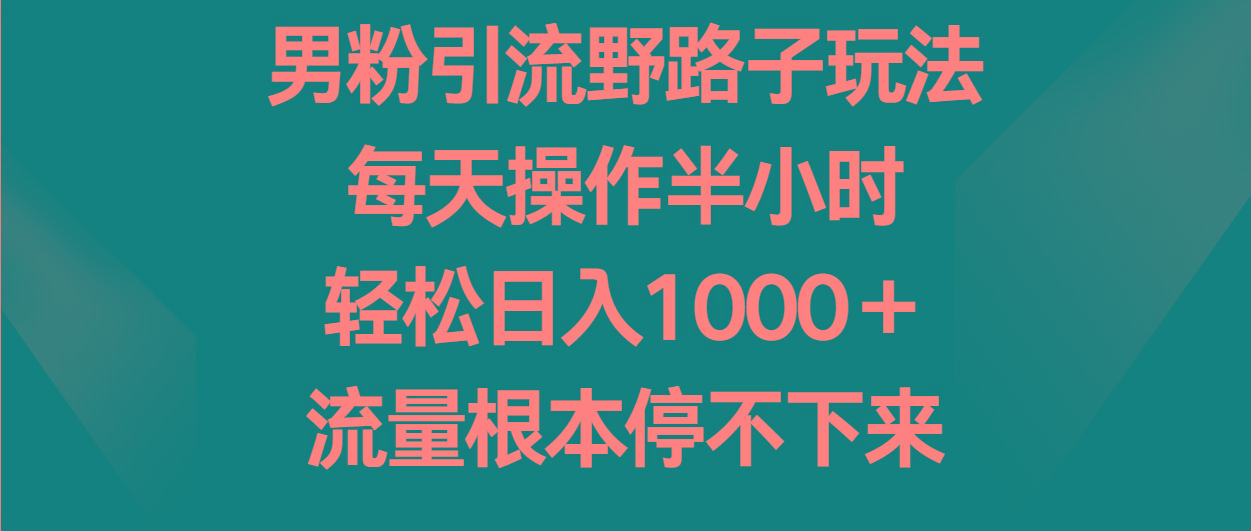 男粉引流野路子玩法，每天操作半小时轻松日入1000＋，流量根本停不下来-云网创