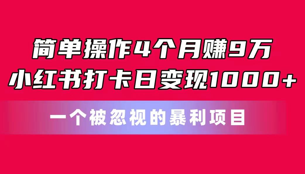 简单操作4个月赚9万！小红书打卡日变现1000+！一个被忽视的暴力项目-云网创