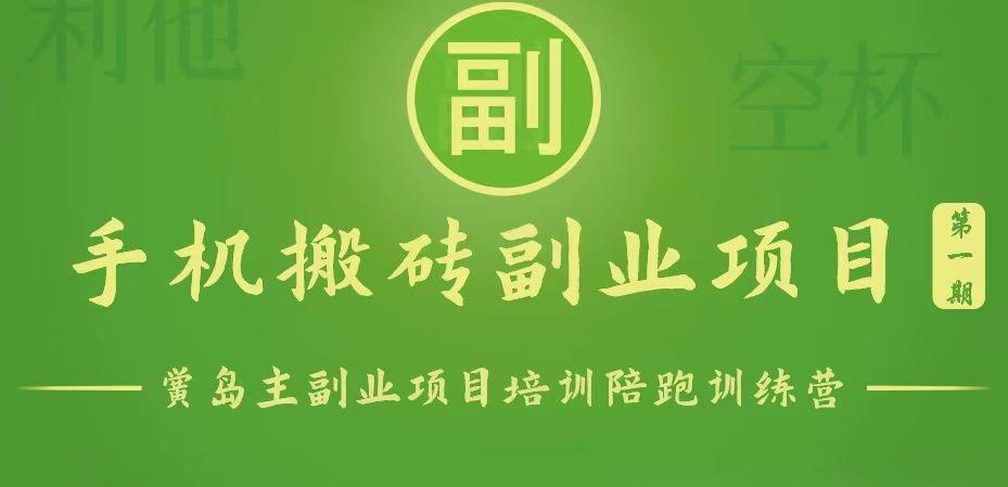 手机搬砖小副业项目训练营1.0，能用手机做的简单小副业-云网创