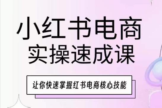 小红书电商实操速成课，让你快速掌握红书电商核心技能-云网创