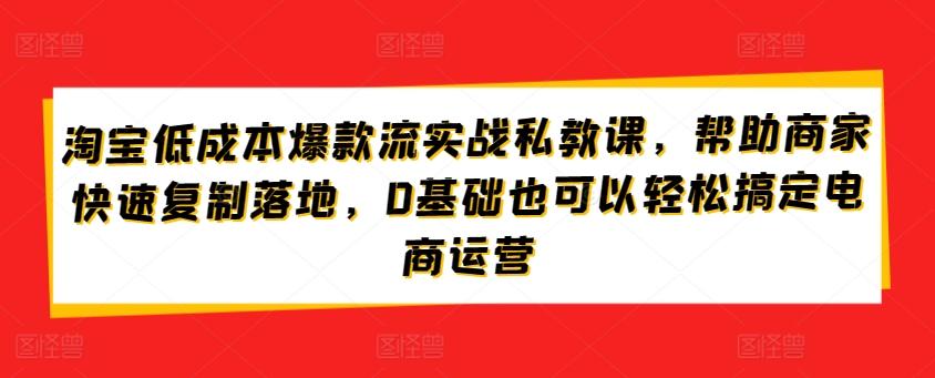 淘宝低成本爆款流实战私教课，帮助商家快速复制落地，0基础也可以轻松搞定电商运营-云网创