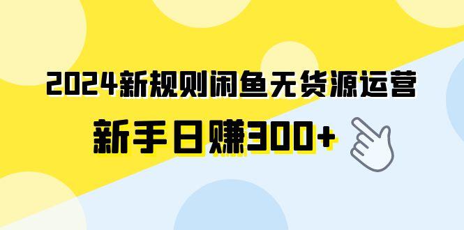 (9522期)2024新规则闲鱼无货源运营新手日赚300+-云网创