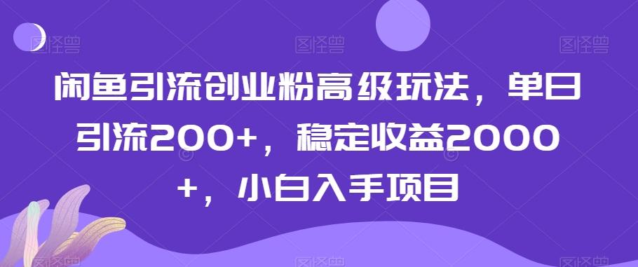闲鱼引流创业粉高级玩法,单日引流200+,稳定收益2000+,小白入手项目-云网创