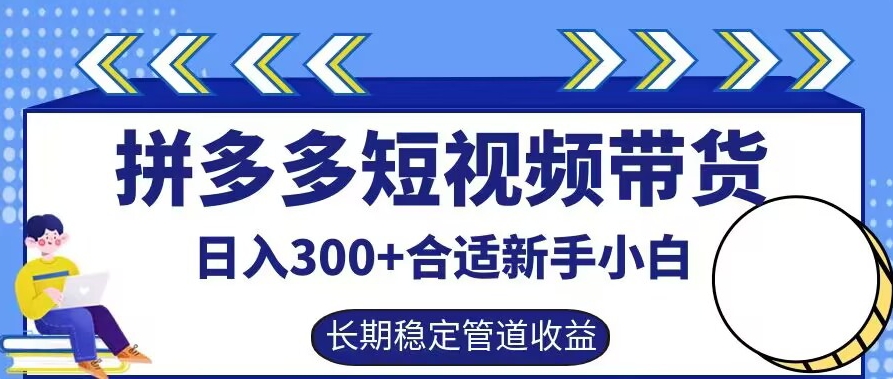 拼多多短视频带货日入300+有长期稳定被动收益，合适新手小白【揭秘】-云网创