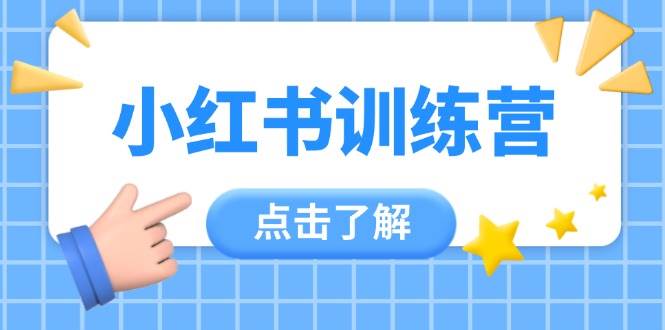 小红书训练营，助小白入门，掌握技巧变达人，课程实操又全面(12节课)-云网创