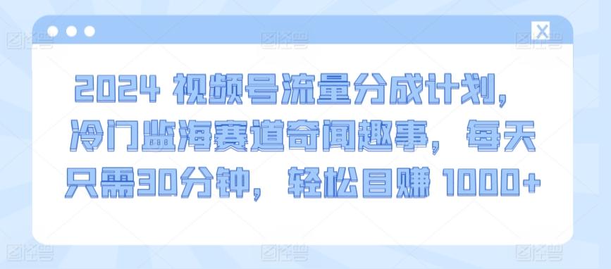 2024视频号流量分成计划,冷门监海赛道奇闻趣事,每天只需30分钟,轻松目赚 1000+【揭秘】-云网创