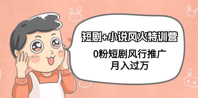 (9374期)短剧+小说风火特训营,0粉短剧风行推广,月入过万(102节课)-云网创