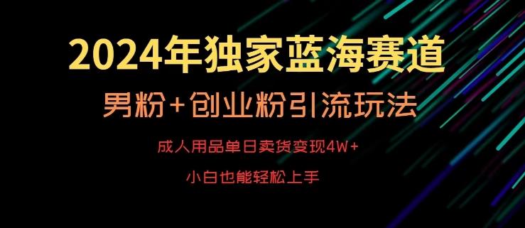 2024年独家蓝海赛道，成人用品单日卖货变现4W+，男粉+创业粉引流玩法，不愁搞不到流量【揭秘】-云网创