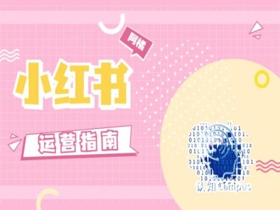 小红书运营指南，没有套路，全是经验-云网创
