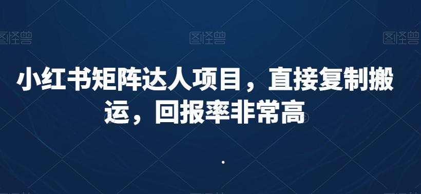 小红书矩阵达人项目，直接复制搬运，回报率非常高-云网创