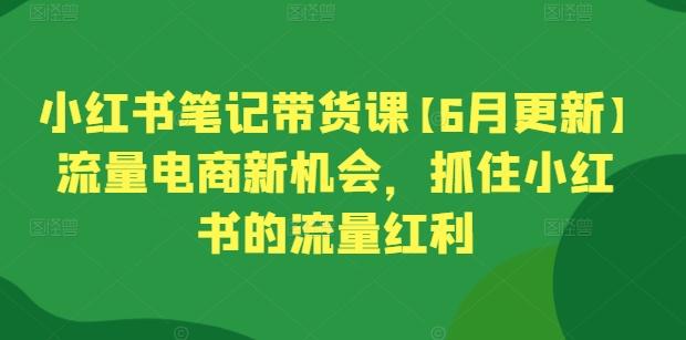 小红书笔记带货课【6月更新】流量电商新机会，抓住小红书的流量红利-云网创