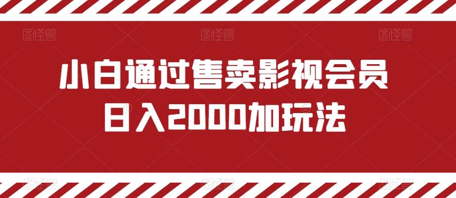 小白通过售卖影视会员日入2000加玩法-云网创